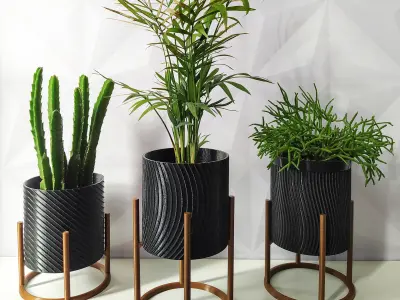 Decorative plant pots set 3D print model