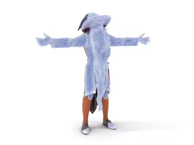 Wizard Character Model Pack with Detailed Robe and Hat Low-poly 3D model