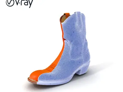 Cowboy Boot D Model Pack Low-poly 3D model