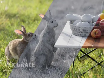 Japanese hare Animated VFX Grace 3D model