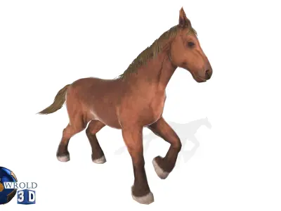 Horse Rigged-Animated Lowpoly 3D Model Collection Pack Low-poly 3D model