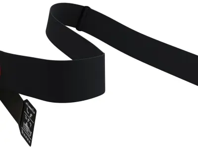 GARMIN HRM-Run heart rate monitor 3D model