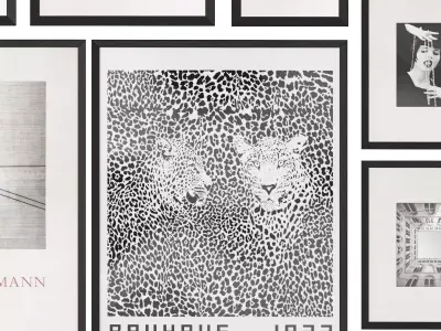 Black and White Pictures with Passe-Partout 3D model