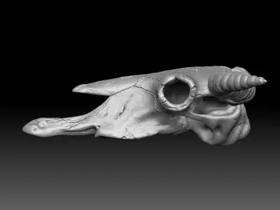 Cow Scull 3D print model