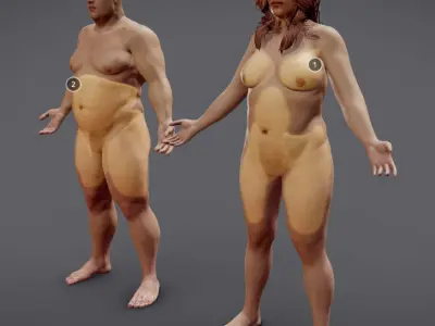 Male Vs Female Fat Distribution Low-poly 3D model