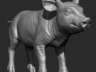 Highpoly Realistic Pig Sculpted in Zbrush 2019 3D model