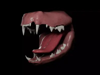 Cat Teeth Low-poly 3D model