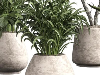 Indoor plant 08 3D model purchase