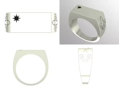 Ring bi154 3D print model