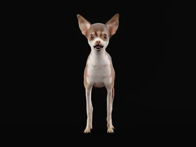 Russian Toy Terrier Dog Breed Low-poly 3D model