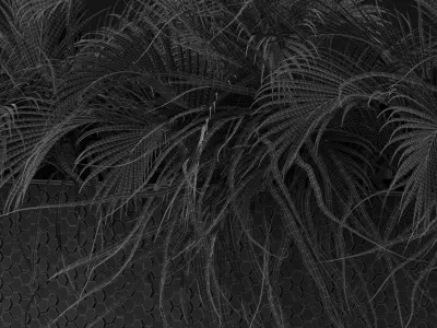 Plants collection 463 3D model