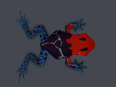 Dart frog Low-poly 3D model