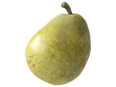 Kieffer Pear 3D model