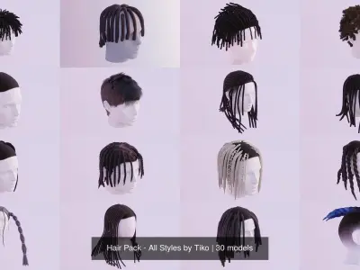 Hair Pack - All Styles by Tiko 3D Model Collection