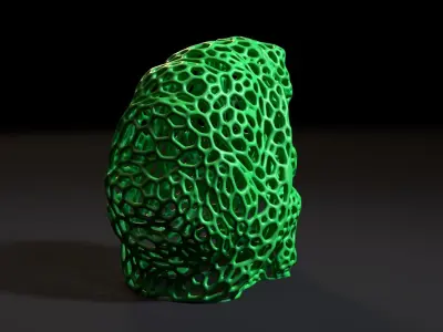 Turtle Voronoi 3D print model