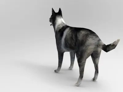 Dog Rigged and Animated  Low-poly 3D model