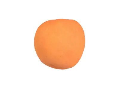 Photorealistic Apricot 3D Scan 2 3D model