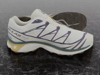 SALOMON S-LAB XT6 3D SHOES Low-poly 3D model