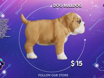 Dog bulldog breed  Low-poly 3D model