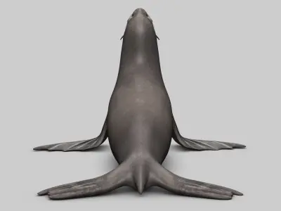 Sea Lion V2 3D model