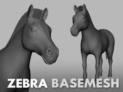 Zebra Basemesh Low-poly 3D model
