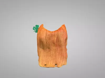 St Patrick Head Orange 3D Model 3D model
