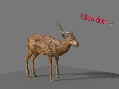 fallow deer  3D model