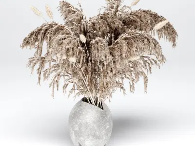 Bouquet05 Dry Pampas 3D model