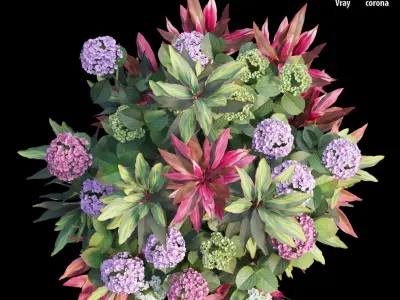 Hydrangea in planters set 07 3D model