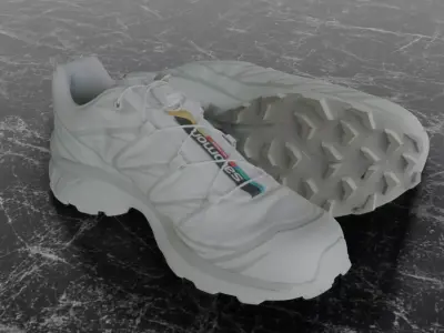 SALOMON S-LAB XT6 WHITE 3D SHOES 3D model