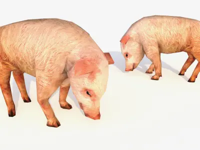 Low-Poly Pig Male Rigged 3D model Low-poly 3D model