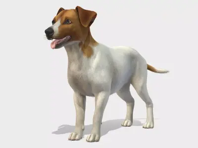 Dog - Jack Russell Terrier Low-poly 3D model