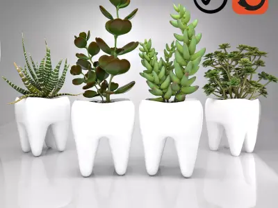 Tooth  Pot - Succulent Plant  3D model
