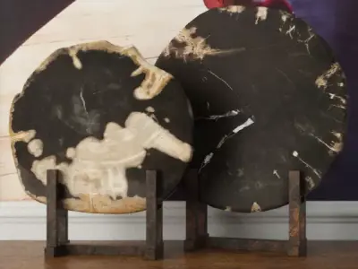 Black Petrified Wood Slices 3D model