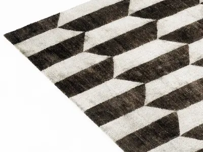 baxter FIFTIES TRAPEZOID RUG 3D model