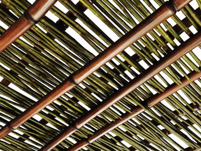 Branch bamboo long low n3 3D model