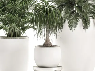 Plants in a white flowerpot for decor and interior design 503 3D model
