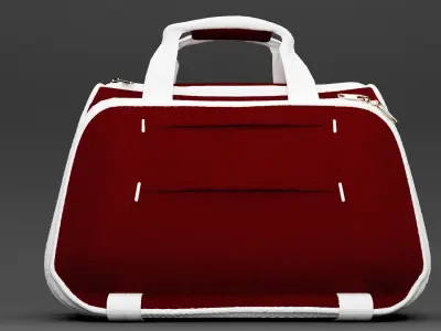 Bag Sport Bag 3D model