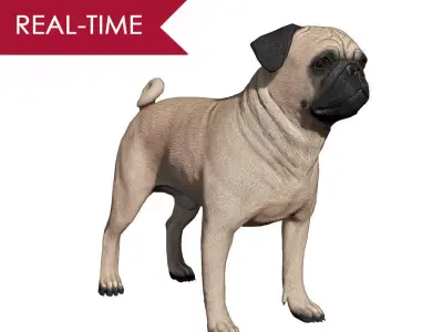 Pug Real-Time Low-poly 3D model
