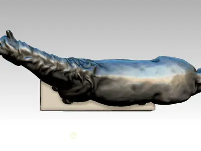 horse studio 3D model