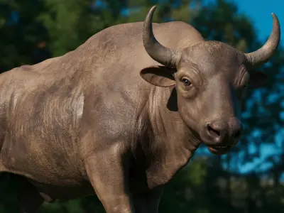 3D European bison    3D model