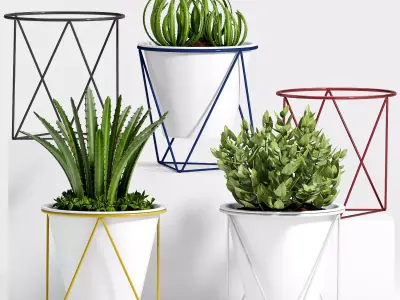 Decorative plant set-23 3D model