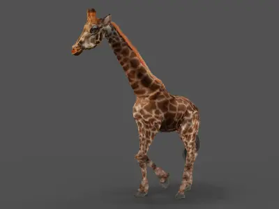 Fur Giraffe Rigged and Animated in Blender Low-poly 3D model