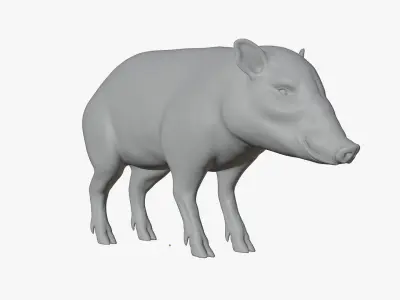 Peccary american pig 3D model