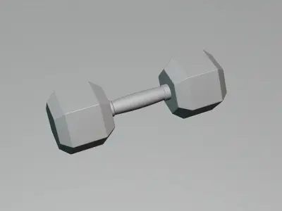 5 Kg Dumbbell 3D model