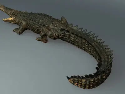 Salt Water Crocodile - Owen moloney 3D model