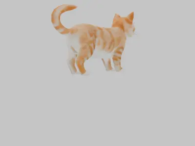 CAT MODEL Low-poly 3D model get