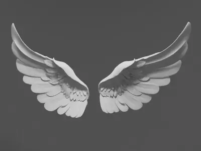 Wings two 3D model