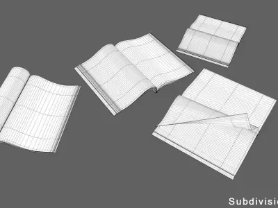 Magazines Open Low-poly 3D model