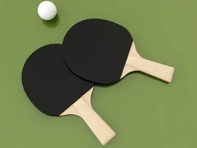 Ping Pong Table 3D model